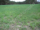 Rolny na sprzedaż - Mała Wieś, Miński, 13 600 m², 82 000 PLN, NET-G-3523-13/E129