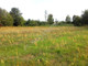 Rolny na sprzedaż - Gągolina, Miński, 3010 m², 105 000 PLN, NET-G-28208-0