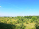 Rolny na sprzedaż - Wąsy, Miński, 3002 m², 62 000 PLN, NET-G-81334-13