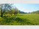 Rolny na sprzedaż - Redlanka, Grodziski, 51 600 m², 1 032 000 PLN, NET-G-44526-0/E31