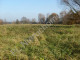 Rolny na sprzedaż - Holendry Baranowskie, Grodziski, 23 200 m², 1 856 000 PLN, NET-G-9516-6/E176