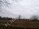 Rolny na sprzedaż - Skuły, Grodziski, 9500 m², 427 500 PLN, NET-G-12058-5/E150