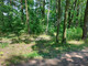 Leśne na sprzedaż - Milanówek, Grodziski, 2206 m², 450 000 PLN, NET-G-83108-5