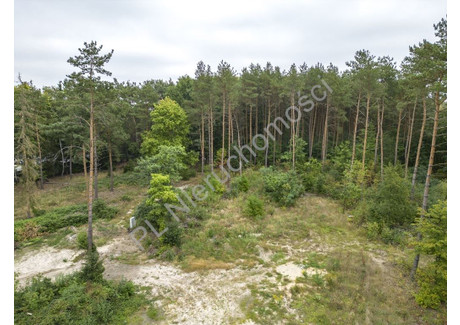 Działka na sprzedaż - Adamowizna, Grodziski, 1600 m², 592 000 PLN, NET-G-86199-5