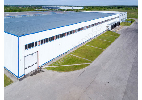 Działka na sprzedaż - Piorunów, Warszawski Zachodni, 10 000 m², 1 400 000 PLN, NET-G-86383-5