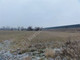 Rolny na sprzedaż - Kopiska, Grodziski, 22 600 m², 2 260 000 PLN, NET-G-21338-0/E90