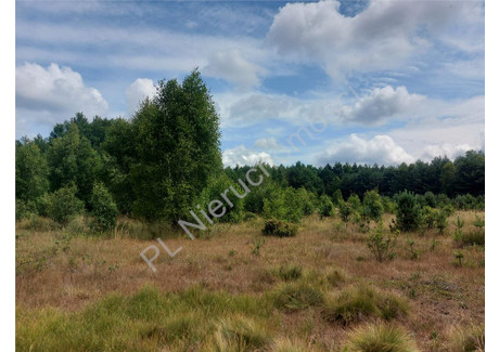 Działka na sprzedaż - Kąty-Wielgi, Strachówka (Gm.), Wołomiński (Pow.), 91 600 m², 687 000 PLN, NET-G-143792-0