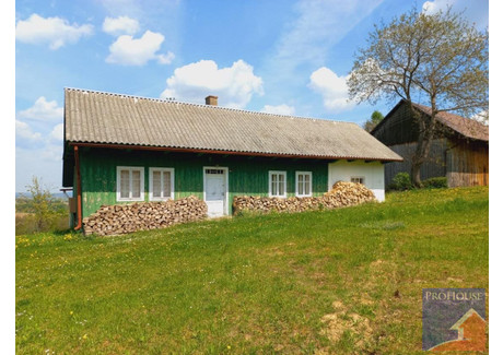 Dom na sprzedaż - Bełdno, Żegocina, Bocheński, 80 m², 880 000 PLN, NET-PROH-DS-413