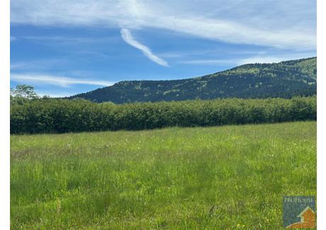 Działka na sprzedaż - Podłopień, Tymbark, Limanowski, 1600 m², 149 000 PLN, NET-PROH-GS-438