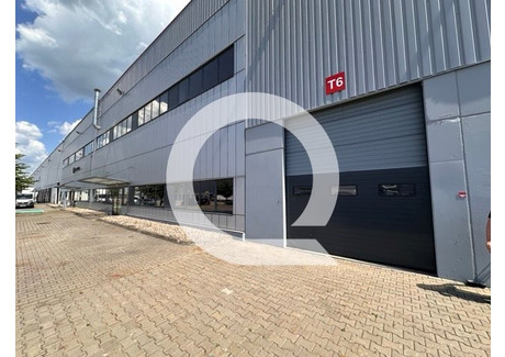 Magazyn do wynajęcia - Smolice, Stryków, Zgierski, 4800 m², 75 844 PLN, NET-QRC-HW-7267