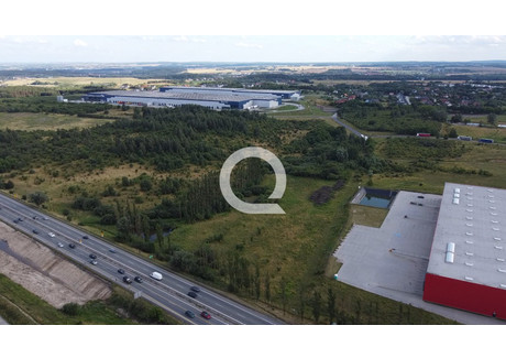 Działka na sprzedaż - Kowale, Kolbudy, Gdański, 17 500 m², 9 625 000 PLN, NET-QRC-GS-7262