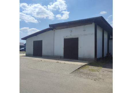 Magazyn do wynajęcia - Tereny Przemysłowe, Tychy, Tychy M., 183 m², 4100 PLN, NET-ROM-HW-3973