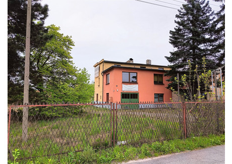 Działka na sprzedaż - Pszczyna, Pszczyński, 4528 m², 1 290 000 PLN, NET-ROM-GS-3957