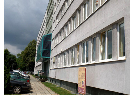 Biuro do wynajęcia - Przemysłowa Śródmieście, Katowice, 80 m², 4480 PLN, NET-795163