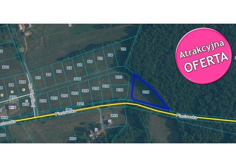 Działka na sprzedaż - Piastowska Nowa Wieś Przywidzka, Przywidz, Gdański, 2625 m², 342 000 PLN, NET-922/CTN/OGS-53062