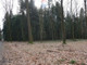 Leśne na sprzedaż - Budzów, Suski, 1500 m², 24 000 PLN, NET-5497/3123/OGS