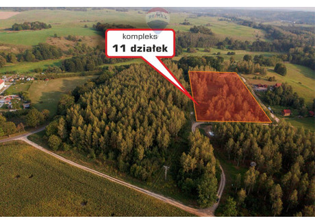 Działka na sprzedaż - Lembruk, Mrągowo, Mrągowski, 12 482 m², 1 304 250 PLN, NET-212/11496/OGS