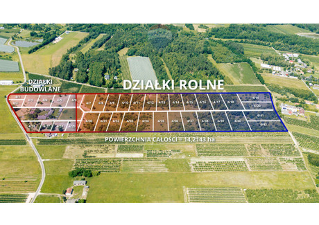 Działka na sprzedaż - Nowina-Przęsławice, Pniewy, Grójecki, 3815 m², 179 915 PLN, NET-665/3992/OGS