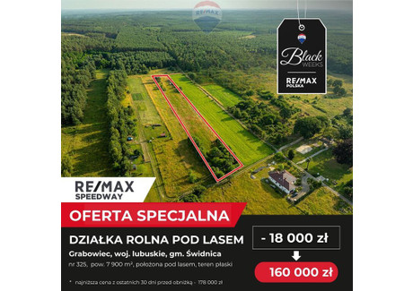 Działka na sprzedaż - Grabowiec, Świdnica, Zielonogórski, 7900 m², 160 000 PLN, NET-27/9148/OGS