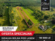 Działka na sprzedaż - Grabowiec, Świdnica, Zielonogórski, 7900 m², 160 000 PLN, NET-27/9148/OGS