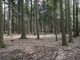 Leśne na sprzedaż - Budzów, Suski, 1200 m², 24 000 PLN, NET-5501/3123/OGS