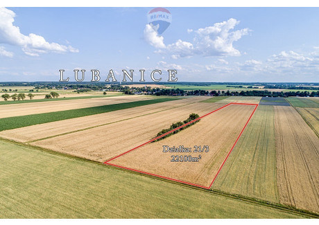 Działka na sprzedaż - Lubanice, Żary, Żarski, 22 100 m², 99 000 PLN, NET-93/9148/OGS