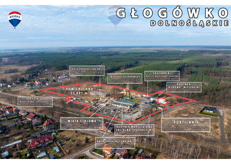 Magazyn, hala na sprzedaż - Głogówko, Kotla, Głogowski, 53 801 m², 3 720 000 PLN, NET-41/9148/OOS