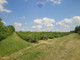 Rolny na sprzedaż - Bobrowce, Mszczonów, Żyrardowski, 23 200 m², 299 000 PLN, NET-1542/2037/OGS