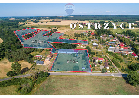 Działka na sprzedaż - Ostrzyce, Trzebiechów, Zielonogórski, 99 100 m², 995 000 PLN, NET-92/9148/OGS