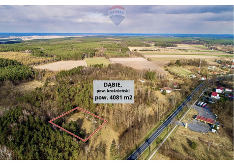 Działka na sprzedaż - Leśna Dąbie, Krośnieński, 4081 m², 220 000 PLN, NET-56/9148/OGS