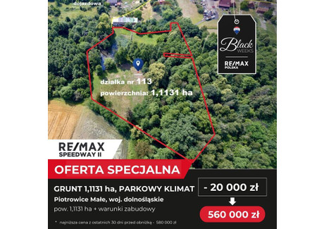 Działka na sprzedaż - Piotrowice Małe, Jemielno, Górowski, 11 131 m², 560 000 PLN, NET-105/9148/OGS