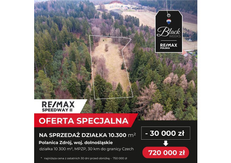 Działka na sprzedaż - Wiejska Polanica-Zdrój, Kłodzki, 10 300 m², 720 000 PLN, NET-138/9148/OGS