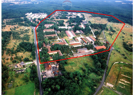 Obiekt na sprzedaż - Żagańska Żary, Żarski, 420 000 m², 43 000 000 PLN, NET-79/5569/OOS