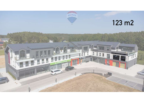 Lokal do wynajęcia - Dzierżążno, Kartuzy, Kartuski, 123 m², 6765 PLN, NET-58/5569/OLW