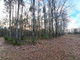 Leśne na sprzedaż - Czarna Rynia, Dobre, Miński, 5042 m², 50 420 PLN, NET-443/3992/OGS