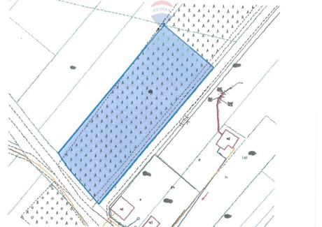 Działka na sprzedaż - Lipinki, Grabów Nad Pilicą, Kozienicki, 2700 m², 105 000 PLN, NET-1534/4565/OGS