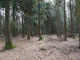 Leśne na sprzedaż - Budzów, Suski, 1000 m², 20 000 PLN, NET-5500/3123/OGS