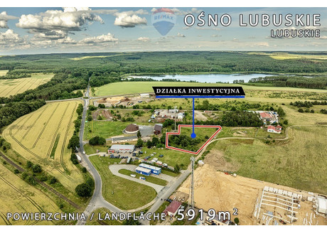 Działka na sprzedaż - Kupiecka Ośno Lubuskie, Słubicki, 5919 m², 795 000 PLN, NET-143/9148/OGS