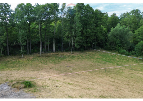 Działka na sprzedaż - Karliczka Jaktorów, Jaktorów (gm.), Grodziski (pow.), 1495 m², 217 000 PLN, NET-1562/2037/OGS