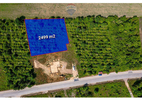 Działka na sprzedaż - Kasztanowa Dąbrówka Wielka, Zgierz, Zgierski, 2499 m², 299 900 PLN, NET-465/3061/OGS