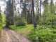 Leśne na sprzedaż - Nowy Targ, Nowotarski, 915 m², 16 470 PLN, NET-2424/2680/OGS