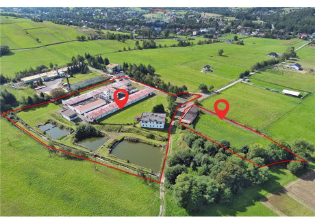 Magazyn, hala na sprzedaż - Rzyki, Andrychów, Wadowicki, 3600 m², 3 500 000 PLN, NET-649/3123/OOS