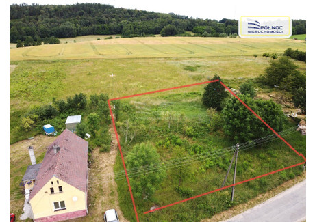 Działka na sprzedaż - Skorzynice, Lwówek Śląski, Lwówecki, 1215 m², 69 300 PLN, NET-44753/3877/OGS