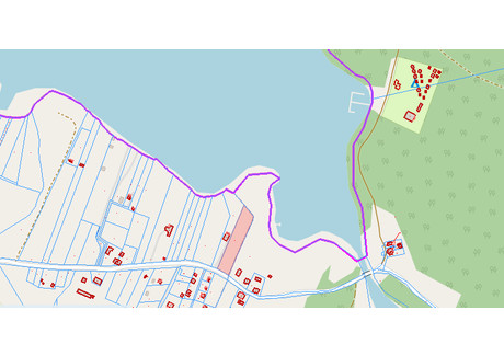 Działka na sprzedaż - Liksajny, Miłomłyn (gm.), Ostródzki (pow.), 4900 m², 480 000 PLN, NET-14273/IX-613