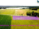 Rolny na sprzedaż - Stręgielek, Pozezdrze, Węgorzewski, 3054 m², 160 000 PLN, NET-MBN-GS-1165