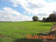 Rolny na sprzedaż - Piotrowice, Biskupiec (Gm.), Nowomiejski (Pow.), 12 238 m², 159 000 PLN, NET-3691