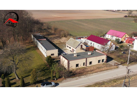 Hala na sprzedaż - Łąkocin, Inowrocław, Inowrocławski, 537 m², 250 000 PLN, NET-398284