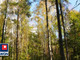 Leśne na sprzedaż - Chorzew, Kiełczygłów (Gm.), Pajęczański (Pow.), 8100 m², 18 000 PLN, NET-497