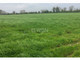 Rolny na sprzedaż - Wistka, Strzelce Wielkie, Pajęczański, 2800 m², 9000 PLN, NET-397