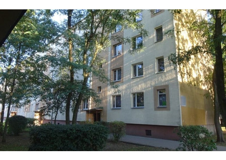 Mieszkanie na sprzedaż - Nowa Kolonia Brodnica, Brodnicki, 56,43 m², 274 900 PLN, NET-22920154